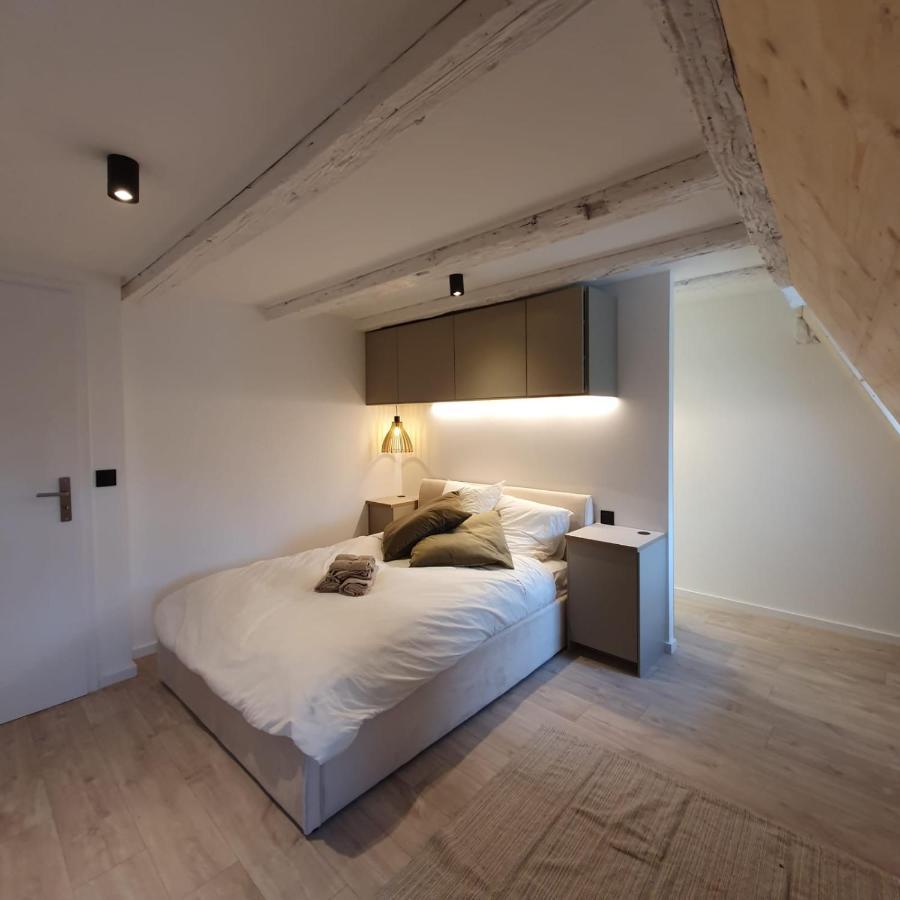 Les Appartements Hyper Centre Strasbourg Exterior foto